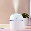 Umidificador e Atomizador De Ar Doméstico Portátil 200ml
