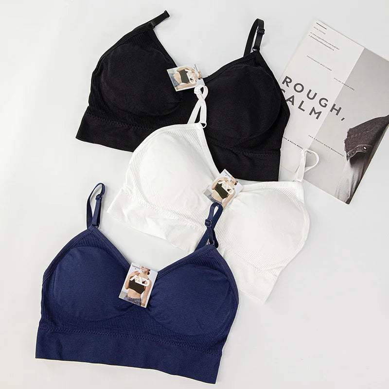 Lingerie feminina de 3 peças, sutiãs curtos, sutiãs sensuais, tops femininos, frete grátis, sutia poliéster 90%