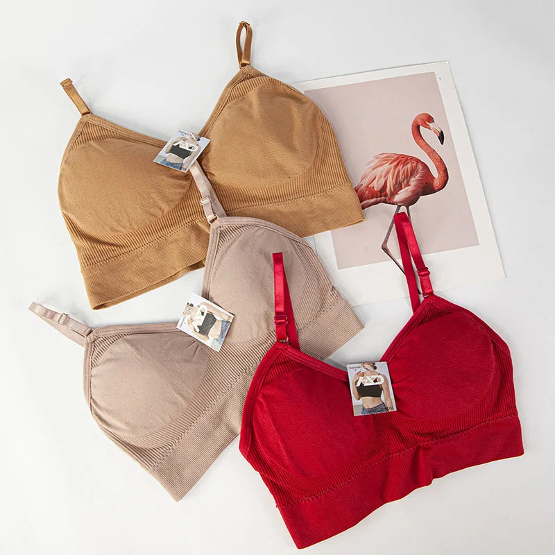 Lingerie feminina de 3 peças, sutiãs curtos, sutiãs sensuais, tops femininos, frete grátis, sutia poliéster 90%