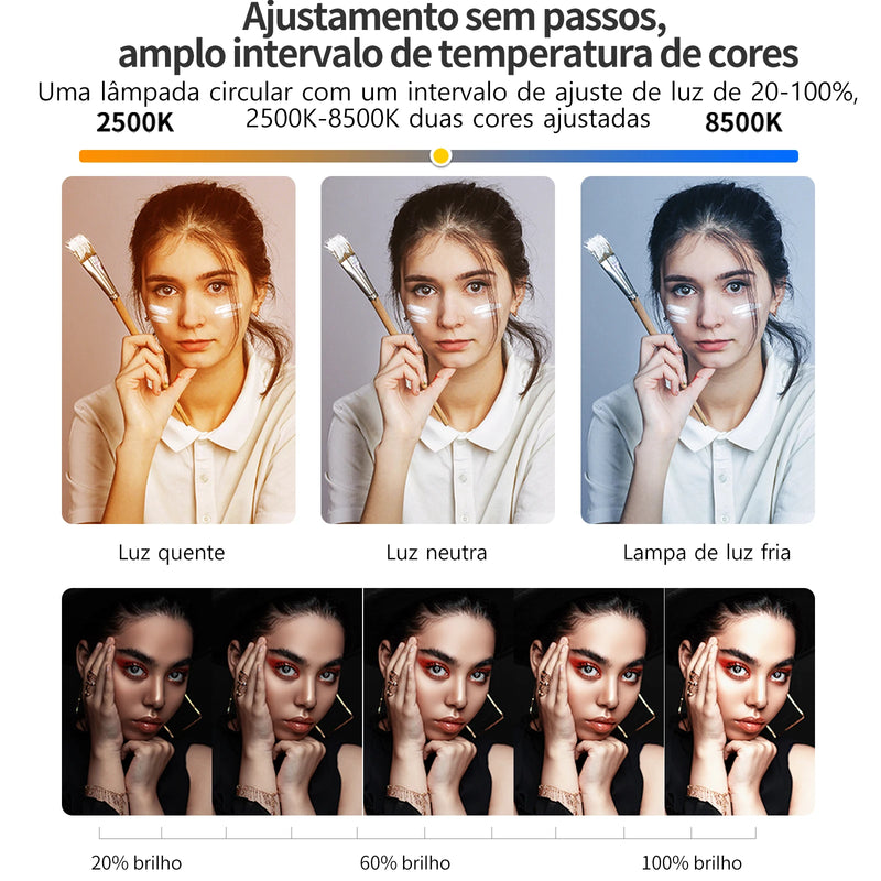 Ulanzi U200 U-200 Smartphone Video Rig LED Video Light 2 em 1 Ring Light Cold Shoe para Microfone Tiktok Youtube Live Rig Light