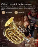 Trompete de bolso VEDO em Si bemol, latão amarelo, com bocal, 7C, pano de limpeza, estojo rígido, luvas, conjunto completo.