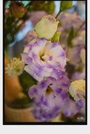 Lente principal fotográfica TTArtisan aps-c 25mm F2 para câmera Sony E Mount a6000 a6400 zve10 Fujifilm XT4 XT30 XS10 Nikon Z30 Z50