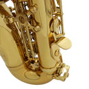 Saxofone soprano SLADE em Si bemol, corpo em latão, instrumento de sopro profissional com estojo, luvas e peças. Envio do Brasil.