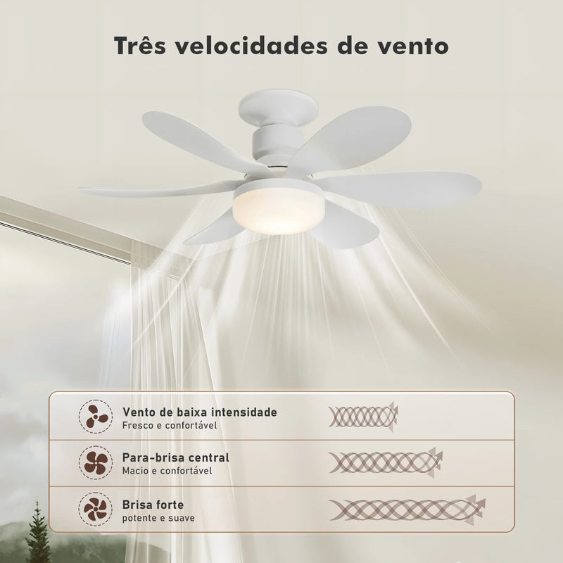 Luminária de Teto, Ventilador de Teto com Led, Luminária de Teto, Luminária de Teto, Do Brasil