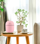 Umidificador e Atomizador De Ar Doméstico Portátil 200ml